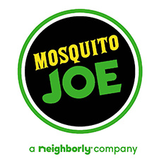 Mosquito Joe