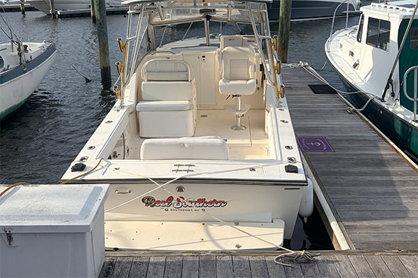 Reel Southern