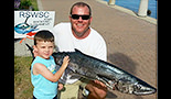 TIDE ONE ON